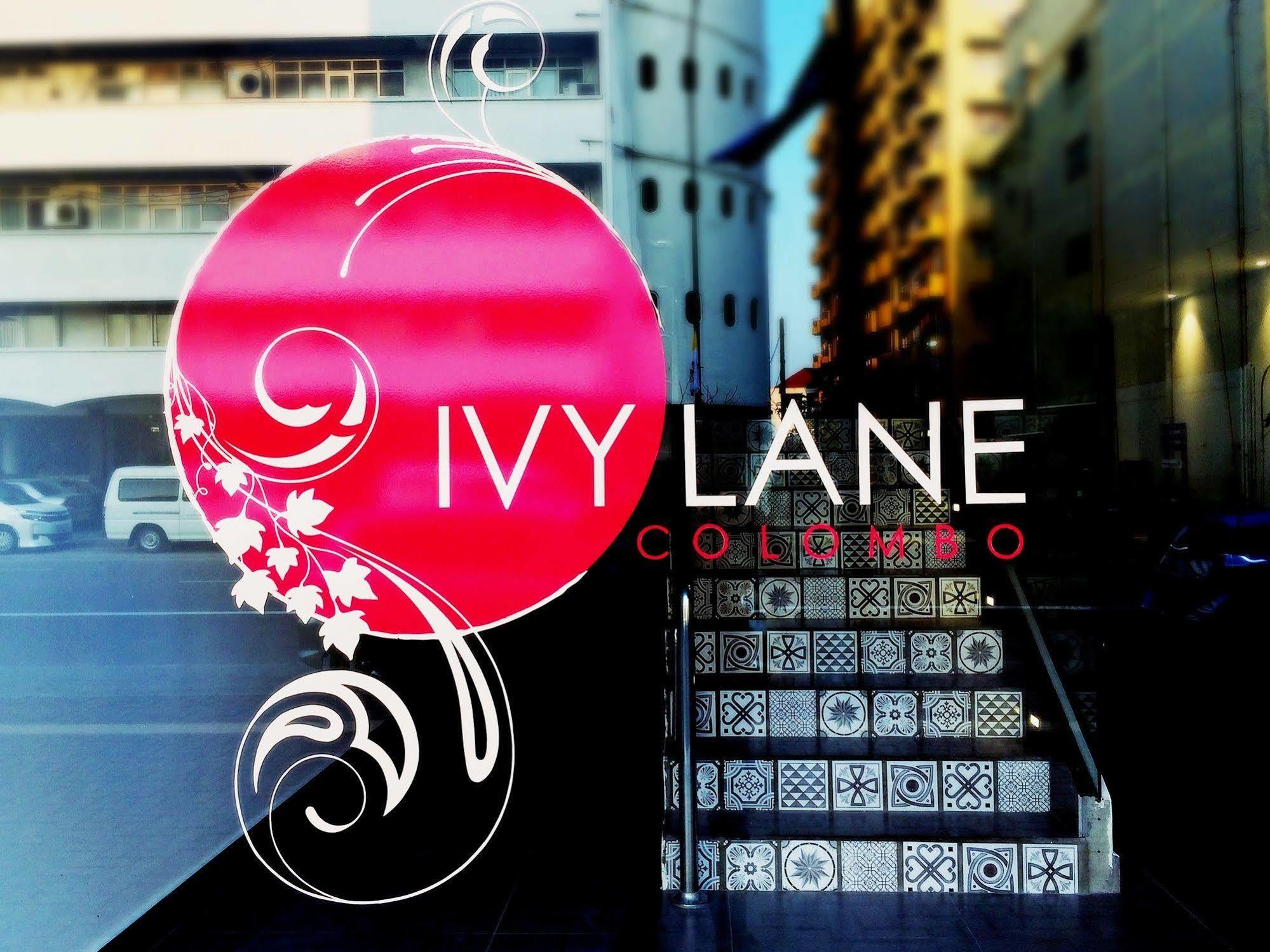 Ivy Lane 2*